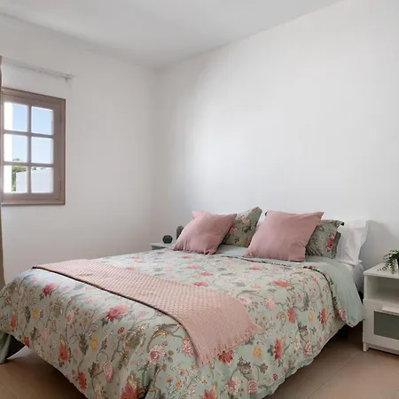 Alisios Del Patron Apartment *